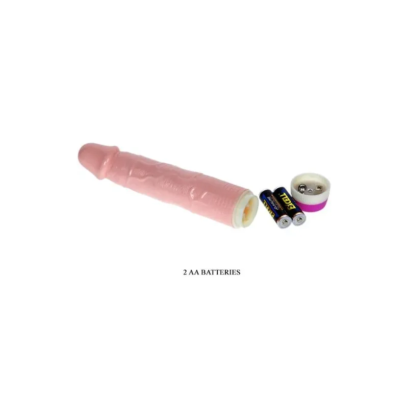 D-218752 BAILE VIBRATORS