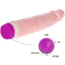 D-218752 BAILE VIBRATORS