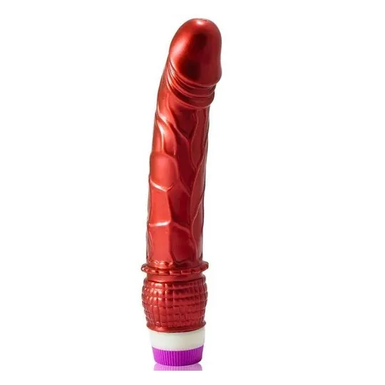 D-195919 BAILE VIBRATORS