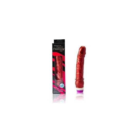 D-195919 BAILE VIBRATORS