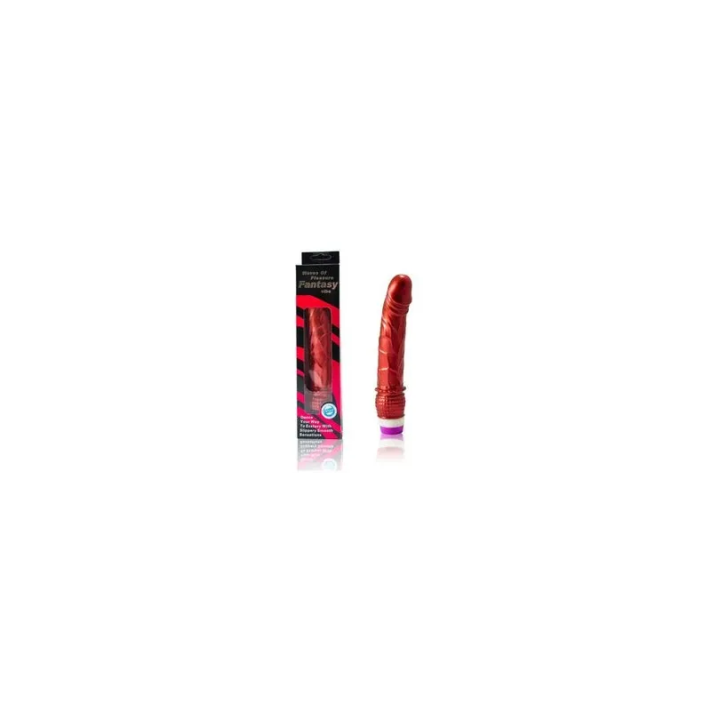 D-195919 BAILE VIBRATORS