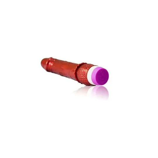 D-195919 BAILE VIBRATORS