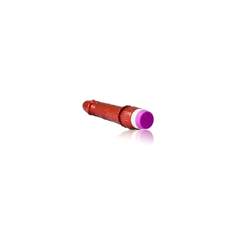 D-195919 BAILE VIBRATORS