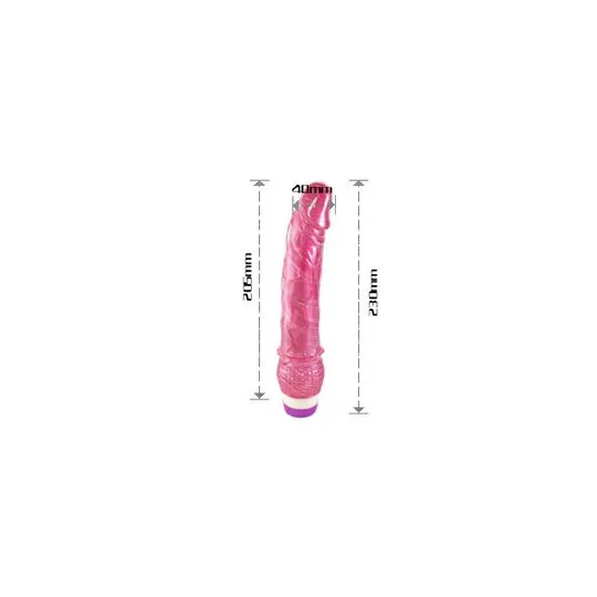D-195919 BAILE VIBRATORS