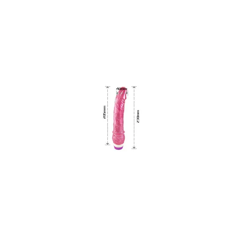 D-195919 BAILE VIBRATORS