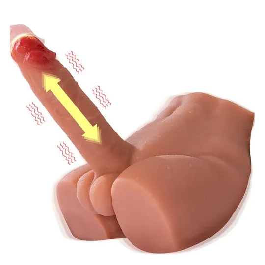 D-243004 XISE