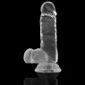 D-224100 X RAY