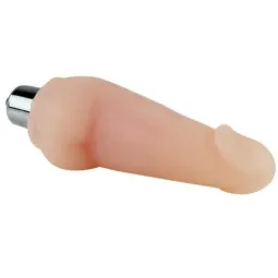 D-219304 BAILE VIBRATORS
