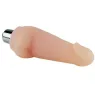 D-219304 BAILE VIBRATORS