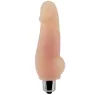 D-219304 BAILE VIBRATORS
