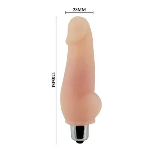 D-219304 BAILE VIBRATORS