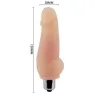 D-219304 BAILE VIBRATORS