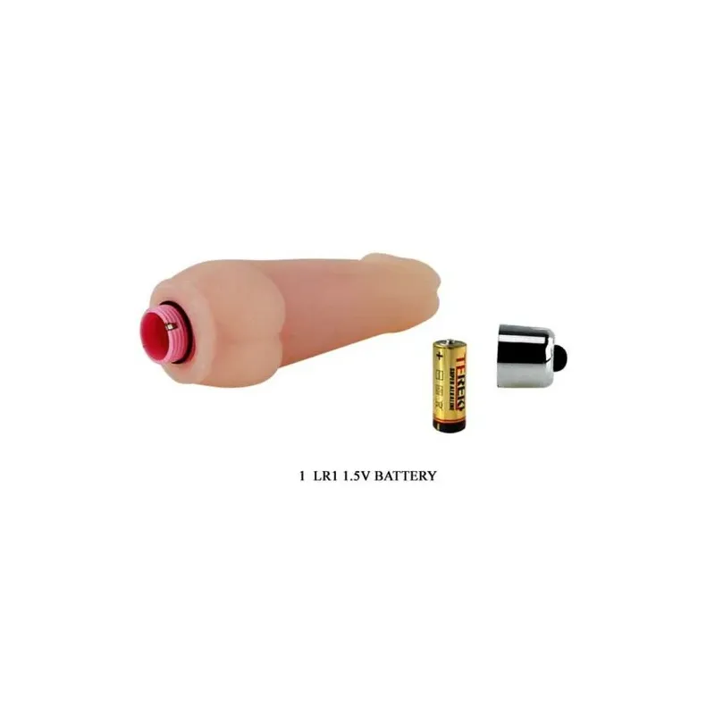 D-219304 BAILE VIBRATORS