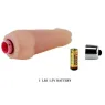 D-219304 BAILE VIBRATORS