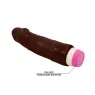 D-227334 BAILE VIBRATORS