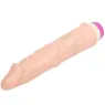 D-218754 BAILE VIBRATORS