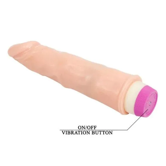 D-218754 BAILE VIBRATORS