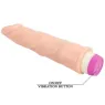 D-218754 BAILE VIBRATORS