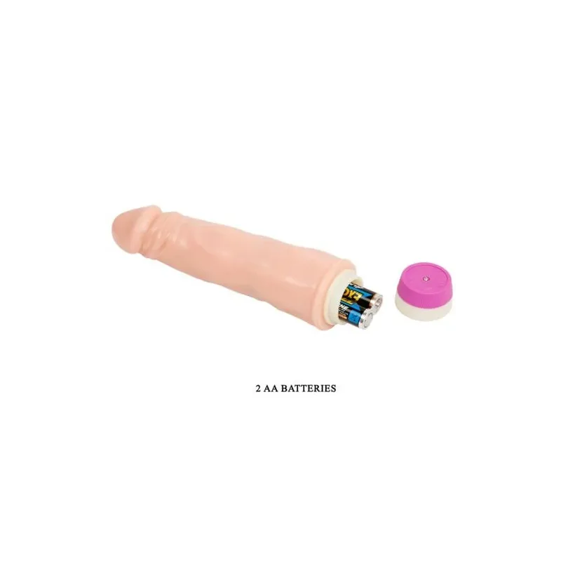 D-218754 BAILE VIBRATORS