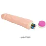 D-218754 BAILE VIBRATORS