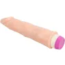 D-218754 BAILE VIBRATORS