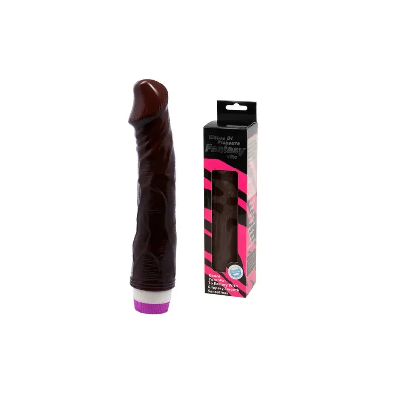 D-218755 BAILE VIBRATORS