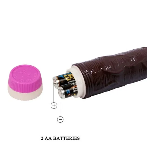 D-218755 BAILE VIBRATORS