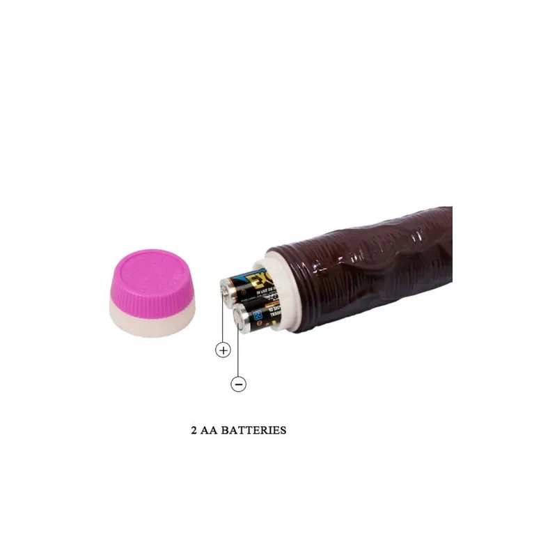 D-218755 BAILE VIBRATORS