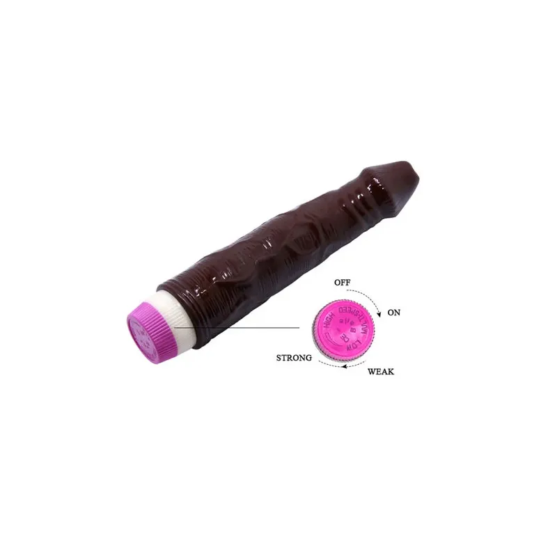 D-218755 BAILE VIBRATORS