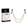 BEGME Black Edition nipple clamps with chain, stainless steel black, BDSM accessory for fetish play
