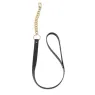 Black bondage collar with leash Bijoux Maze, metal ring, white background