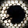 Feather duster stimulator pen by Bijoux Petits Bonbons, high sensitivity for gentle tickling sensations.