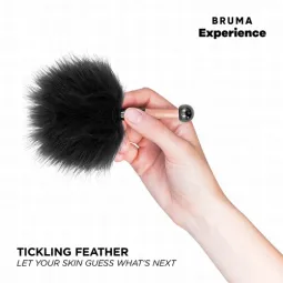 D-243625 BRUMA
