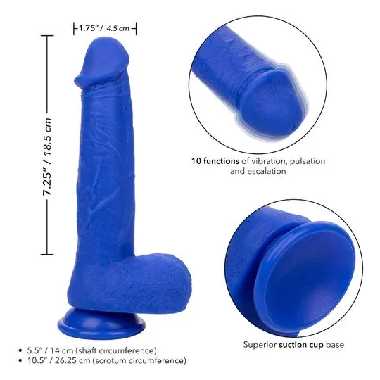 Gode vibrant réaliste CalExotics Captain Admiral bleu en silicone étanche avec ventouse
