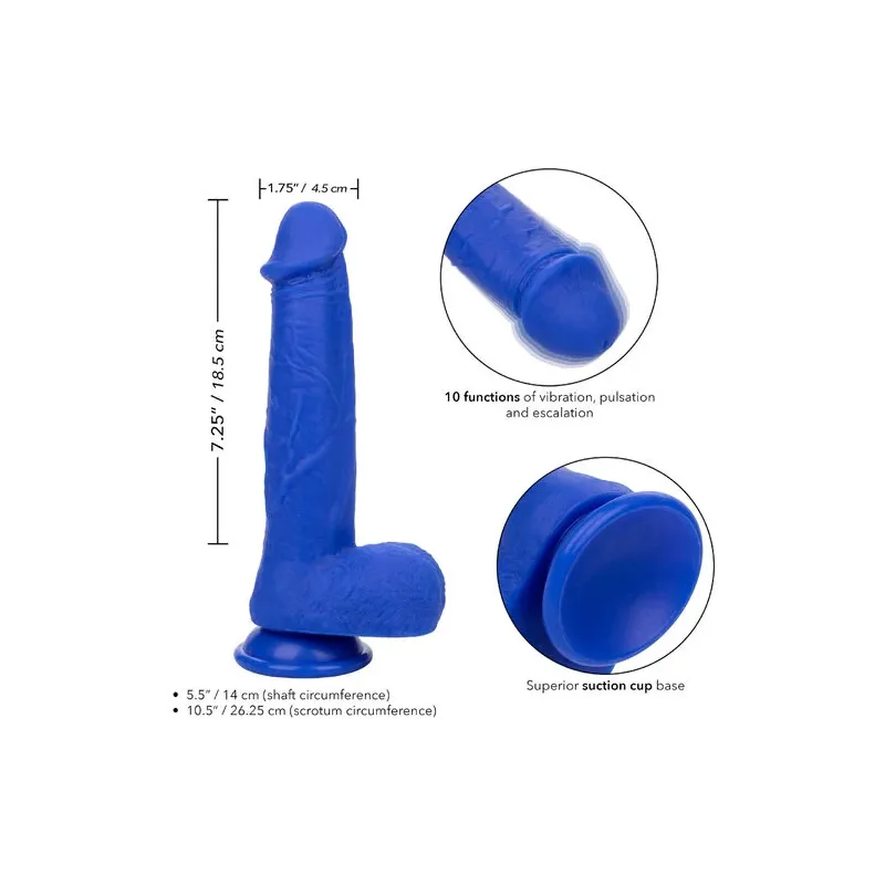 Gode vibrant réaliste CalExotics Captain Admiral bleu en silicone étanche avec ventouse