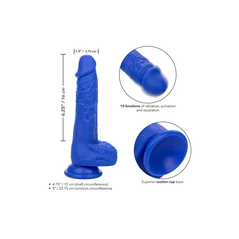 Vibrador realista CalExotics Admiral Sailor azul silicona ventosa, vista general" }, "9132": { "fr": "Détail du gode vibrant Cal