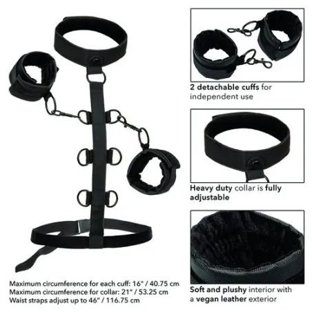 Collier de retenue en cuir végétalien noir CalExotics avec poignets rembourrés réglables pour BDSM