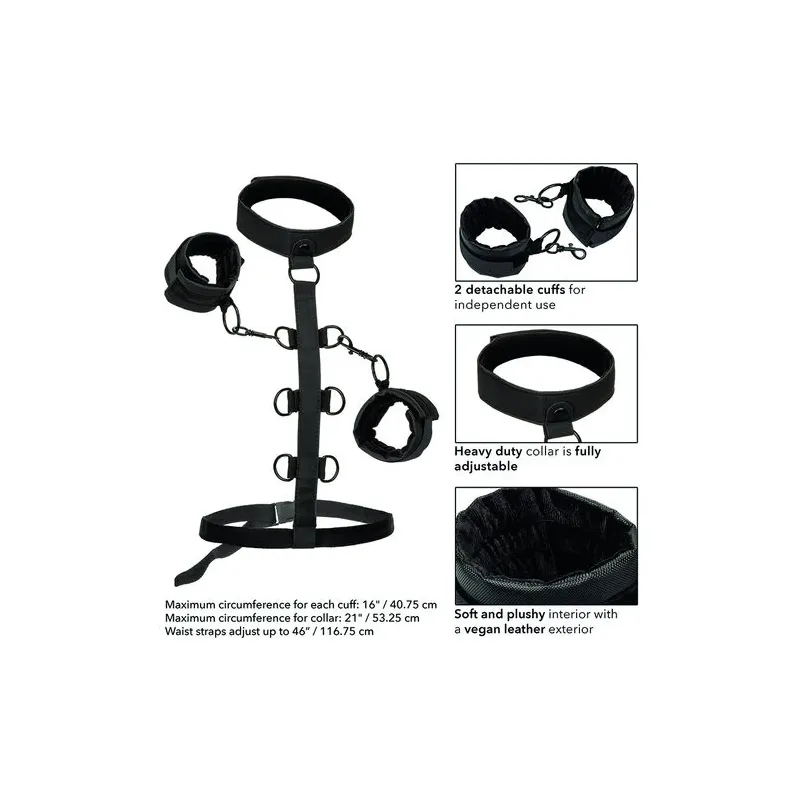Collier de retenue en cuir végétalien noir CalExotics avec poignets rembourrés réglables pour BDSM