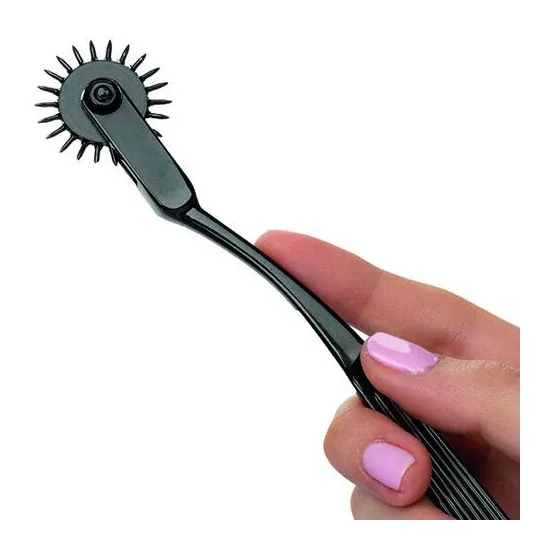 Roue de plaisance CalExotics en alliage argenté avec 22 points rotatifs pour stimulation sensorielle