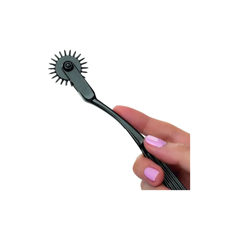 Roue de plaisance CalExotics en alliage argenté avec 22 points rotatifs pour stimulation sensorielle