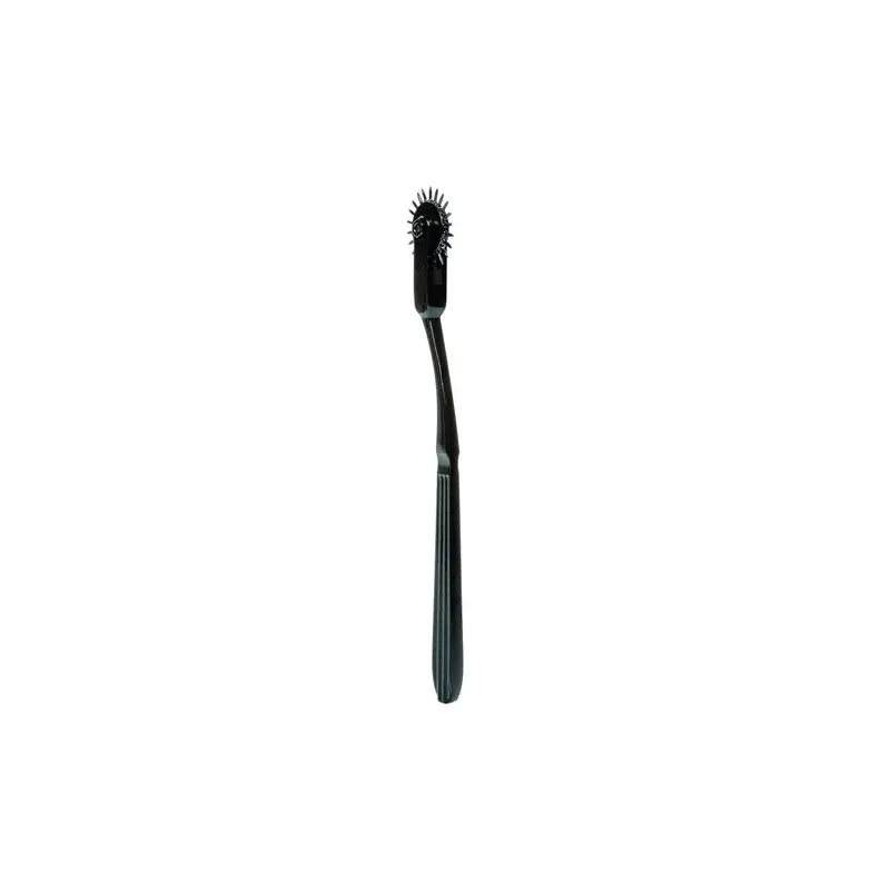 Roue de plaisance CalExotics en alliage argenté avec 22 points rotatifs pour stimulation sensorielle