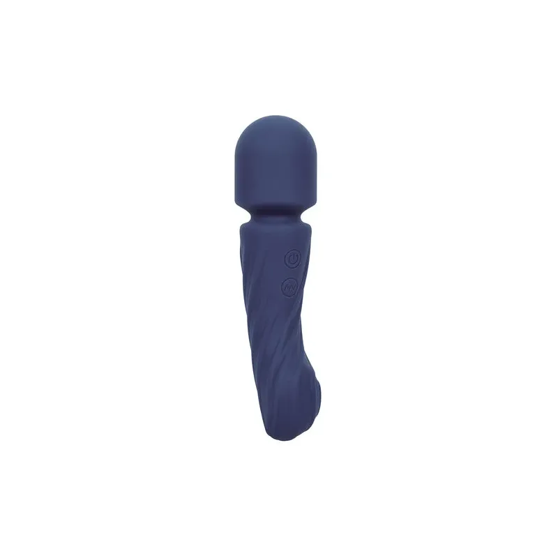 Masseur double moteur CALEXOTICS CHARISMA ALLURE violet silicone body-safe 12 fonctions vibrantes étanche IPX7