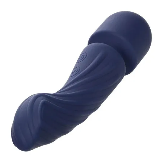 Masseur double moteur CALEXOTICS CHARISMA ALLURE violet silicone body-safe 12 fonctions vibrantes étanche IPX7