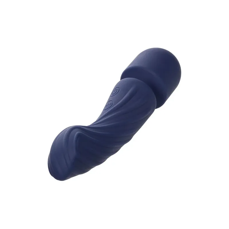 Masseur double moteur CALEXOTICS CHARISMA ALLURE violet silicone body-safe 12 fonctions vibrantes étanche IPX7