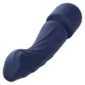 Masseur double moteur CALEXOTICS CHARISMA ALLURE violet silicone body-safe 12 fonctions vibrantes étanche IPX7