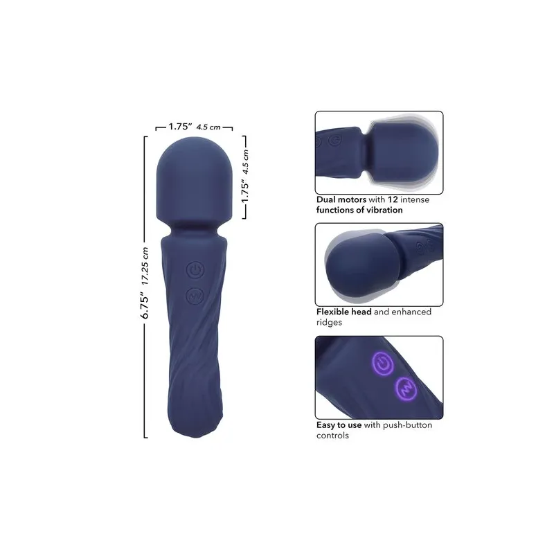 Masseur double moteur CALEXOTICS CHARISMA ALLURE violet silicone body-safe 12 fonctions vibrantes étanche IPX7
