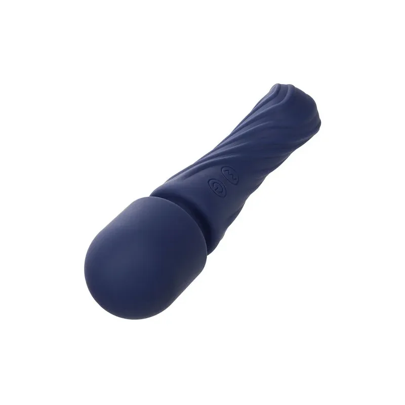 Masseur double moteur CALEXOTICS CHARISMA ALLURE violet silicone body-safe 12 fonctions vibrantes étanche IPX7