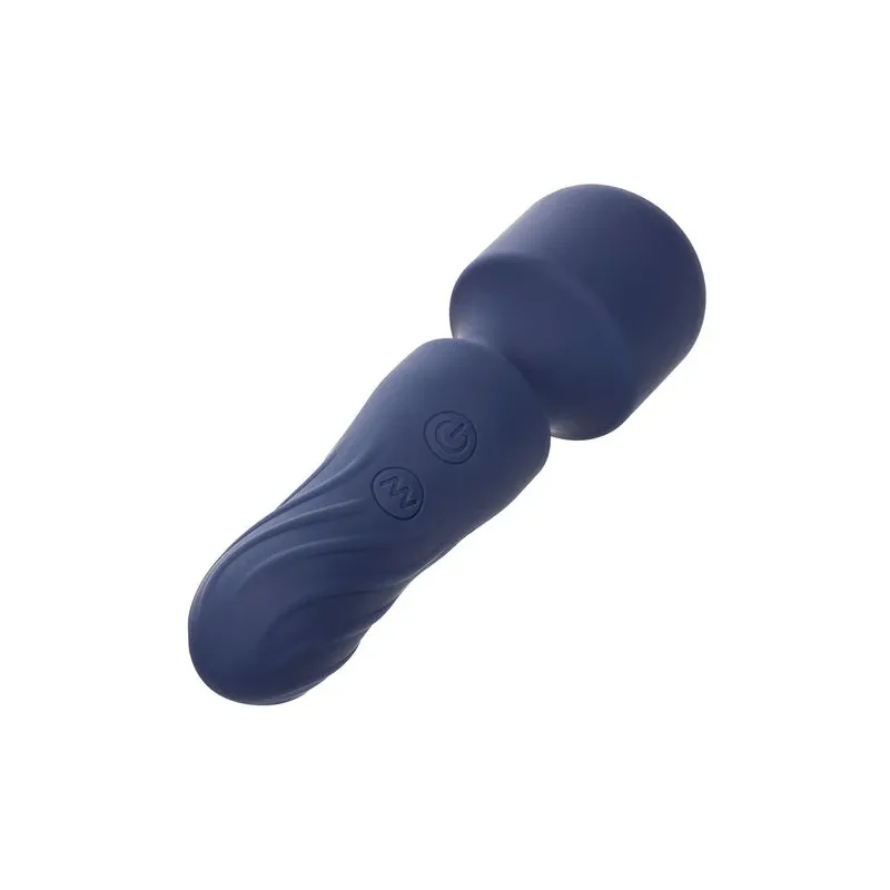Travel massager Calexotics Charm purple 12 vibration modes USB rechargeable waterproof flexible head.