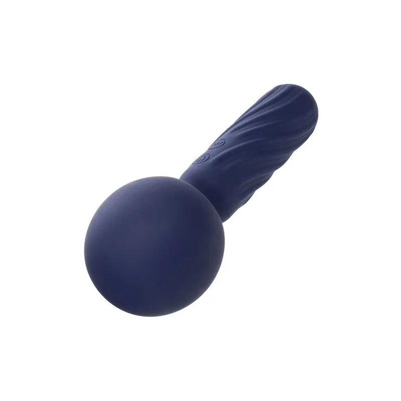 Masseur vibrant CALEXOTICS Charisma Seduction violet silicone 12 fonctions rechargeable