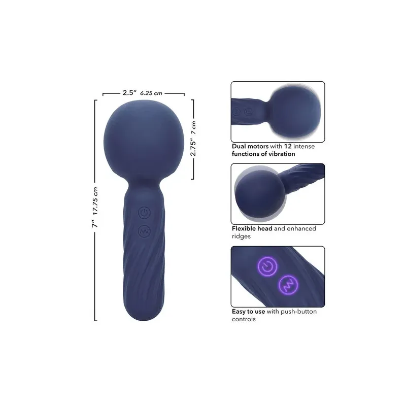 Masseur vibrant CALEXOTICS Charisma Seduction violet silicone 12 fonctions rechargeable